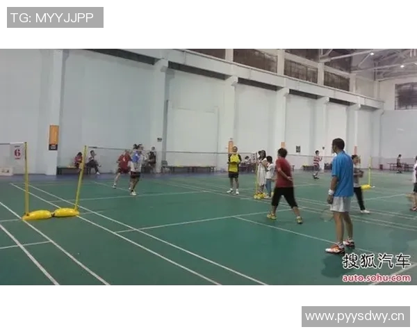 羽毛球顶级赛事选手状态分析及其表现对比赛结果的影响研究